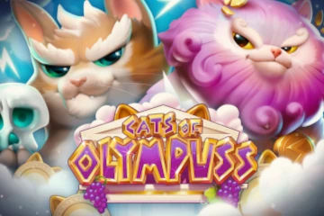 Cats of Olympuss slot